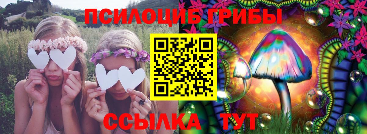 Галлюциногенные грибы Psilocybe  Псилоцибиновые грибы MAGIC MUSHROOMS  Вход с VPN  закладка  Калач-на-Дону 